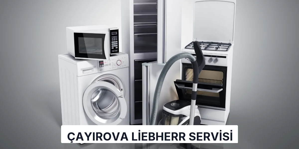 Çayırova Liebherr Servisi